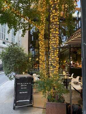 Manicomio - Gutter Lane