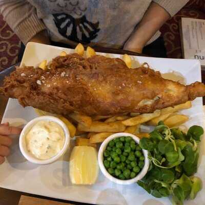 George & Dragon Ibis Earls Court