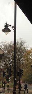 The Black Lab Coffee House