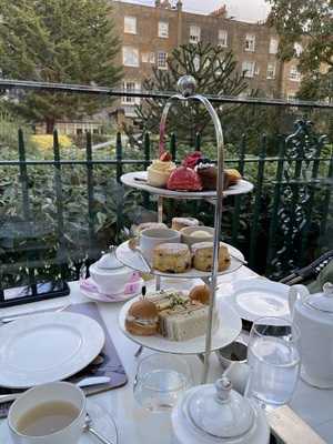 The Conservatory At The Montague