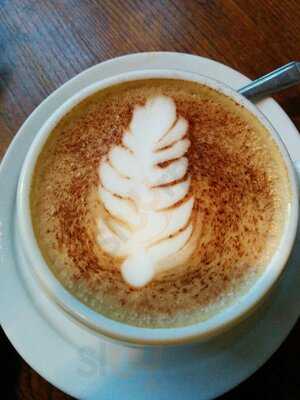 The Coffee Tree
