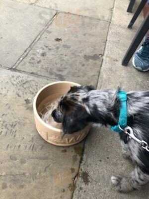 The Greenwich Tavern