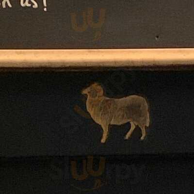 Young's - Chelsea Ram