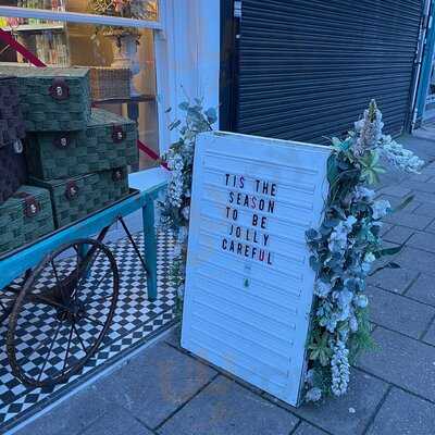 The Eclectic Collection