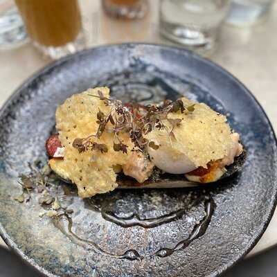 The Eclectic Collection