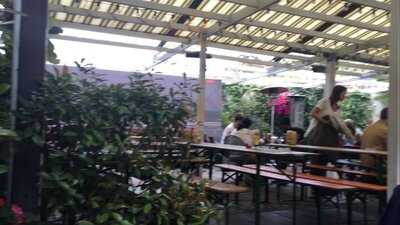 The Crown And Shuttle