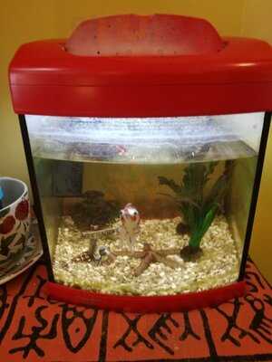 Garden Community Cafe