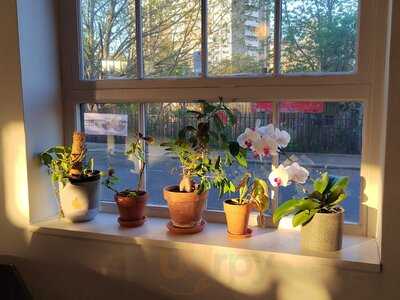 Bourne & Hollingsworth Buildings