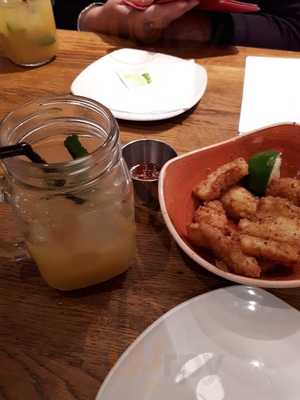 Giraffe - Holland Park