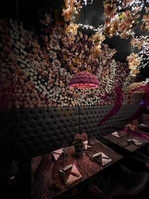 Bonoo Indian Tapas Hampstead