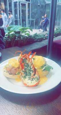 Balans West: Shepherds Bush