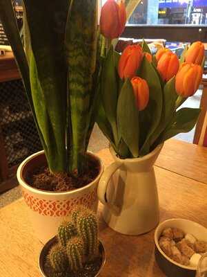 The Garden Shack Hideaway