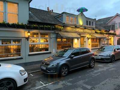 The Fox And Grapes