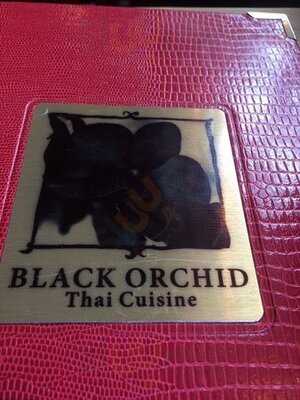 The Black Orchid @ The John Baird