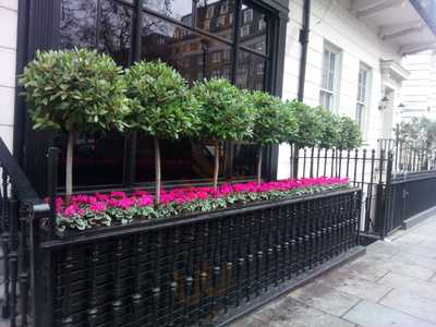 Morton's The Restaurant