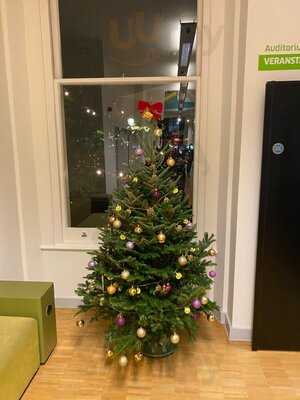 Stein's Berlin Restaurant