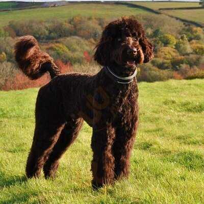 The Common Room Ealing