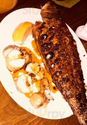 Olive Tree Charcoal Grill