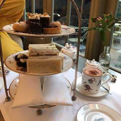 The Orangery At Number Sixteen Hotel