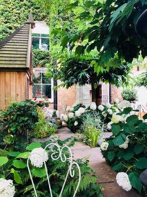 The Orangery At Number Sixteen Hotel