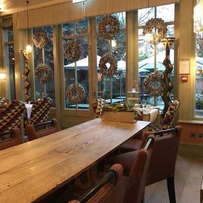 The Orangery At Number Sixteen Hotel