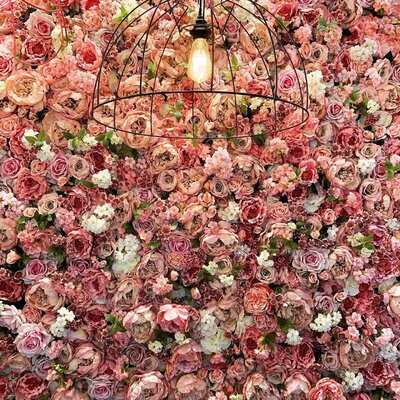 Maitre Choux Chelsea