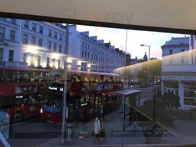 Snowflake Luxury Gelato