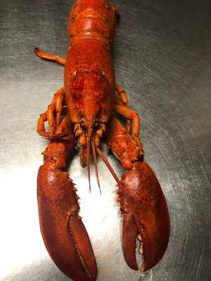 Little India  Restaurant