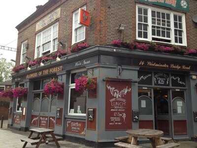 Flowers Of The Forest