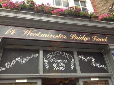 Flowers Of The Forest