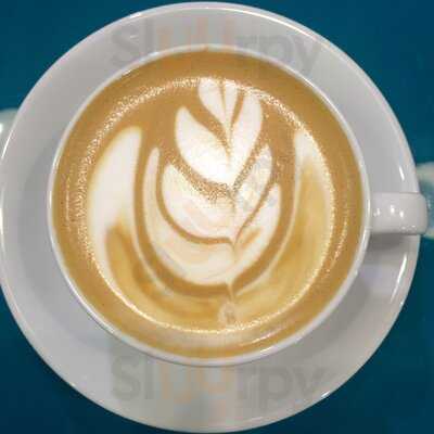 The Secret Frog Coffee Co