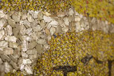 Tongue At October Gallery Cafe