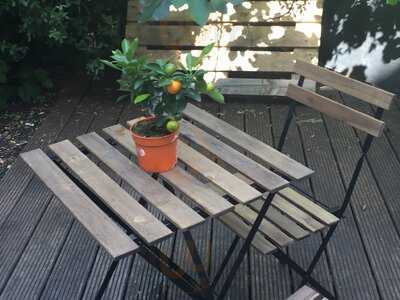 Borough Produce Cafe