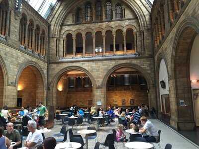 Central Cafe - Natural History Museum