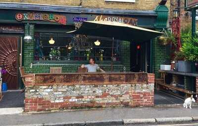 Oxymoron At The Royal Oak