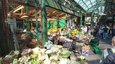 The Fresh Olive Company