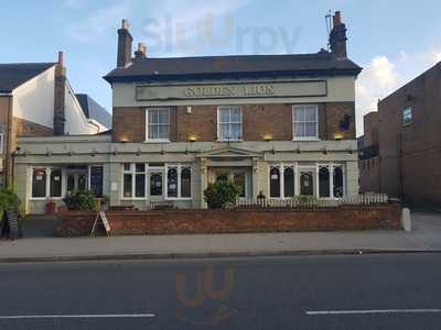 The Golden Lion