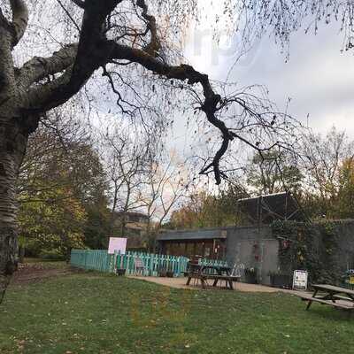 Pistachios In The Park