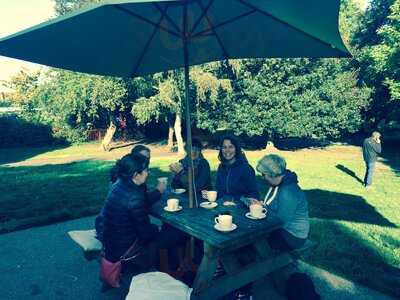 Pistachios In The Park