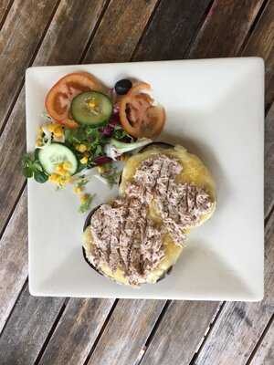 Pistachios In The Park