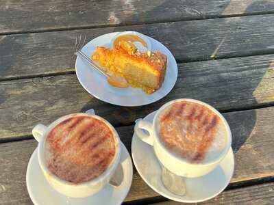 Pistachios In The Park