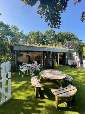 Pistachios In The Park