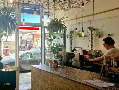 Level Crossing Records