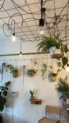 Level Crossing Records