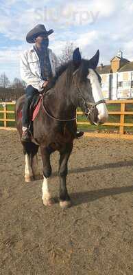 Black Cowboy Coffee Ltd