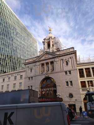 The Erstwhile Parrot