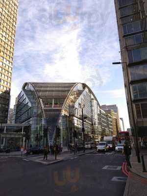 The Erstwhile Parrot