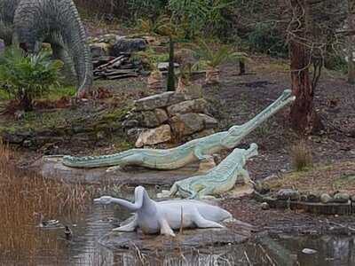 Brown And Green At Crystal Palace