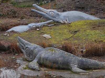 Brown And Green At Crystal Palace