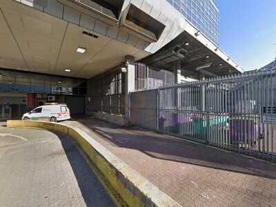 International Cheese